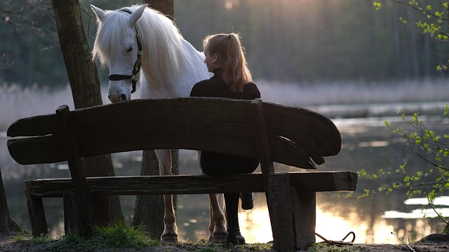 Moderne Solarpanele auf Hausdach bei Sonnenuntergang