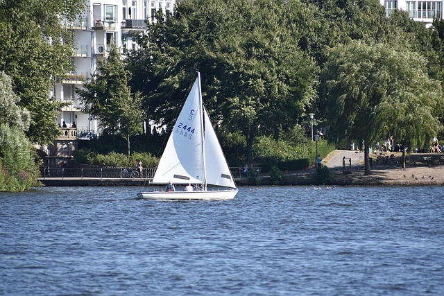 Solarpanele Installation auf modernem Hausdach Deutschland
