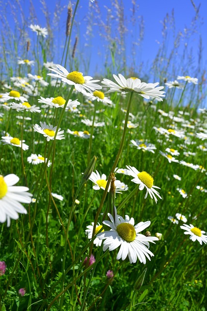 Spezialist für autonome Energiesysteme bei der Systemplanung